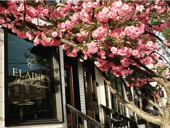 Elaines door front-1